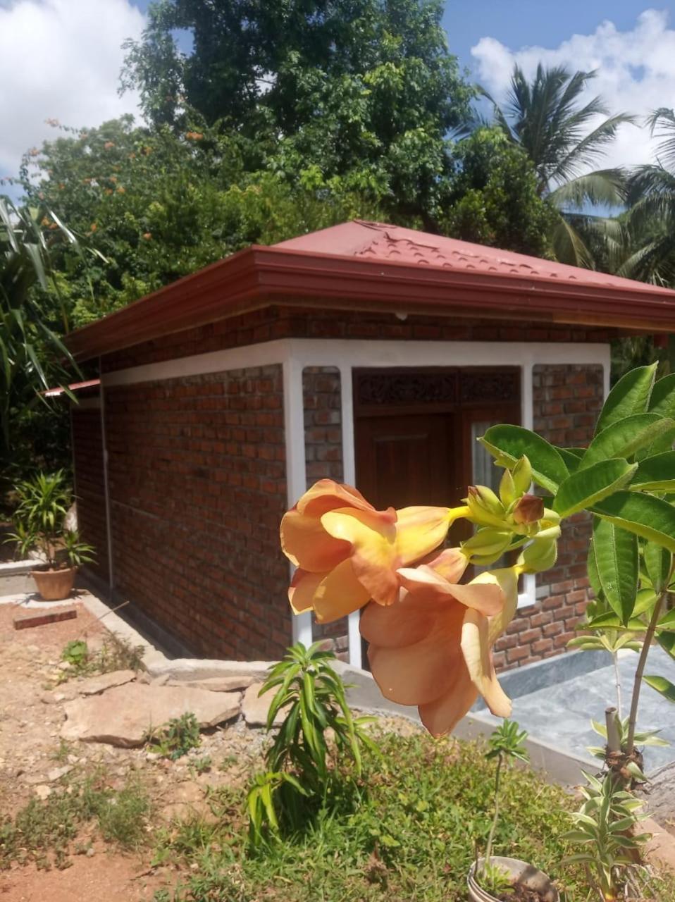 Rock Villa Relax City Resort Mihintale Exterior foto